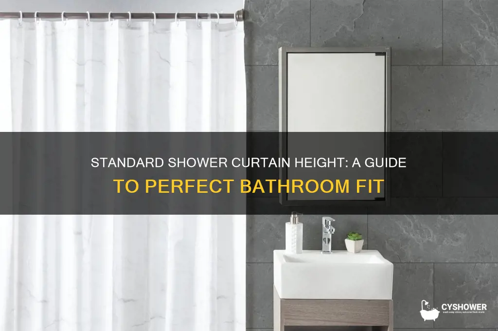 what is standard shower curtain height