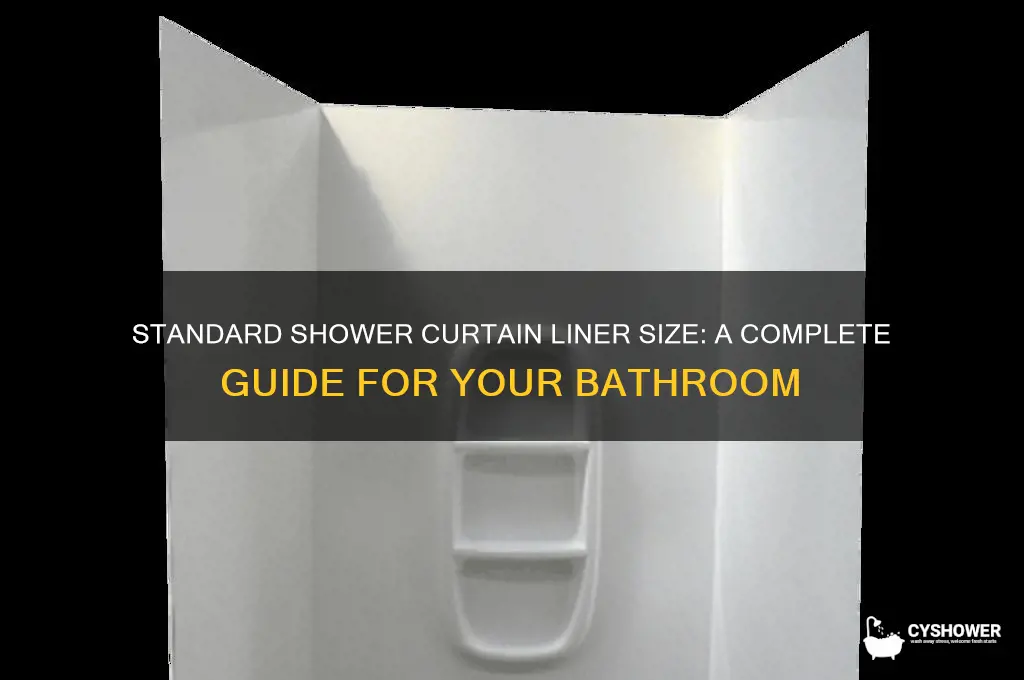 what is standard shower curtain liner size