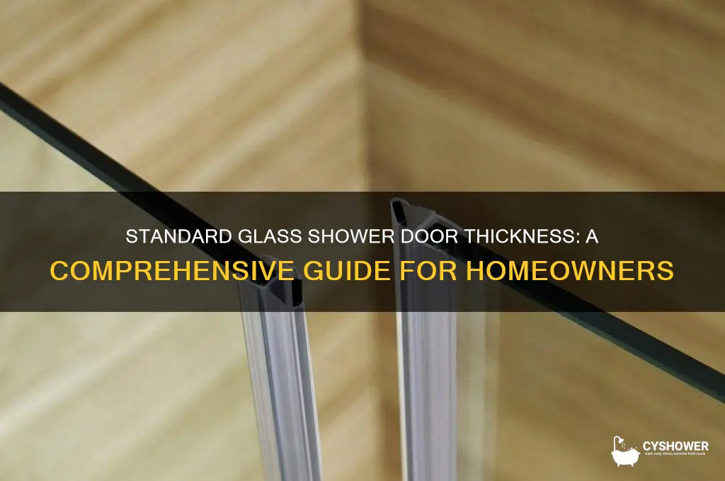 what is standard thickness of a glass shower door