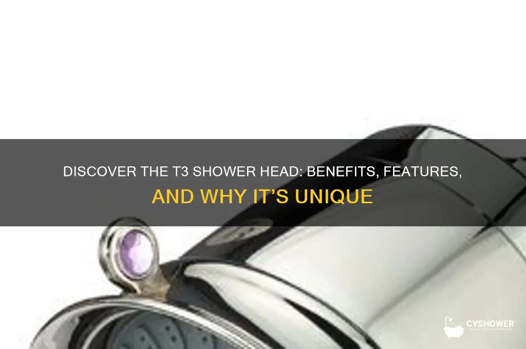 what is t3 shower head