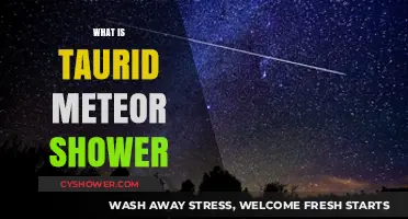 Taurid Meteor Shower: Unveiling the Celestial Fireball Spectacle
