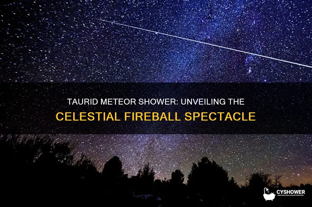 what is taurid meteor shower