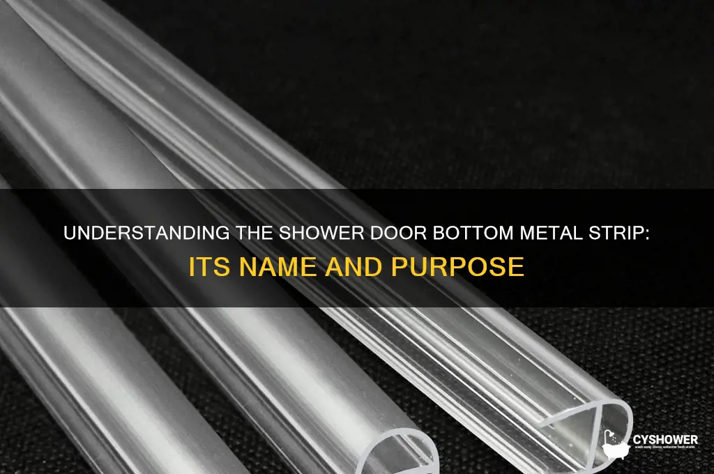 what is that piece of metal called under shower door
