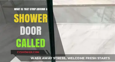 Understanding the Shower Door Sweep: Purpose and Maintenance Tips