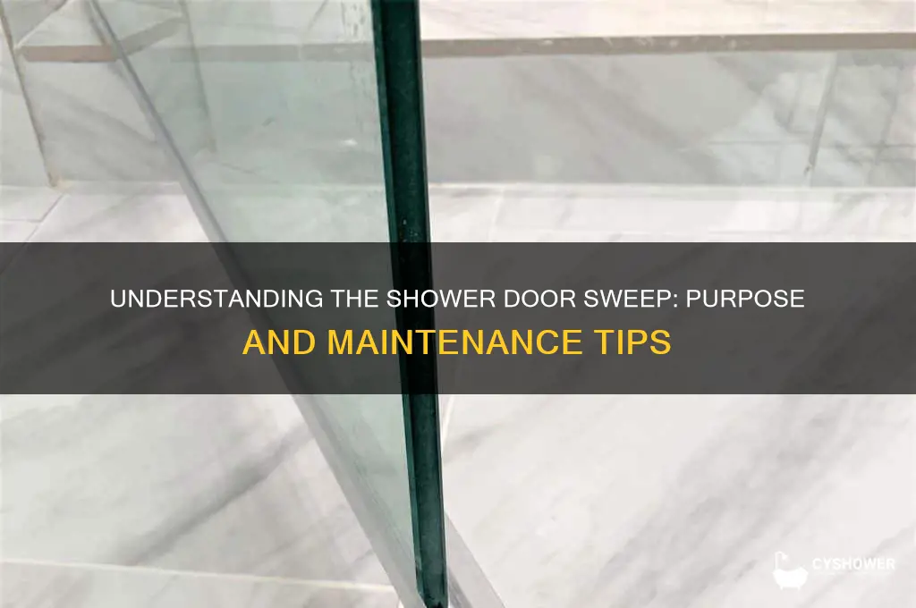 what is that strip around a shower door called