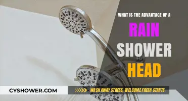 Rain Shower Heads: Elevate Your Shower Experience with Luxurious Benefits