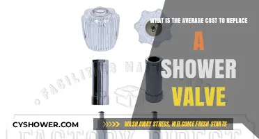 Average Shower Valve Replacement Cost: What to Expect