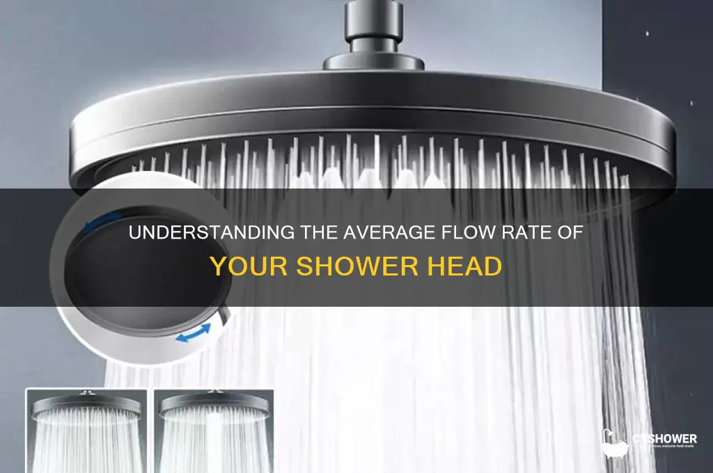 what is the average flow of a shower head
