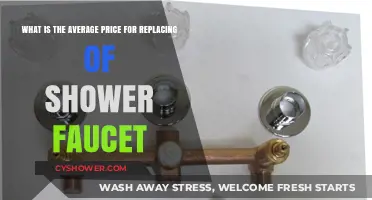 Average Cost to Replace a Shower Faucet: What to Expect