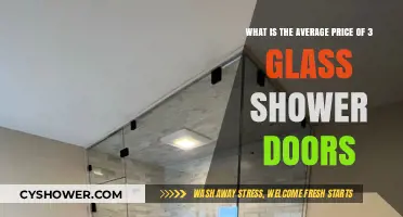 Average Cost of 3 Glass Shower Doors: What to Expect