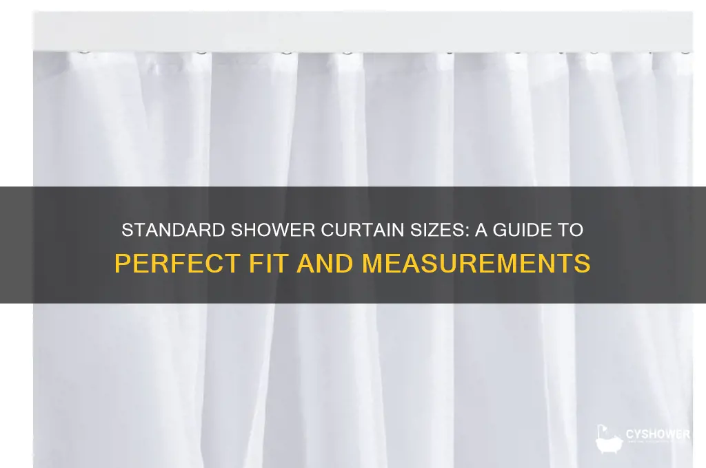 what is the average shower curtain measurements