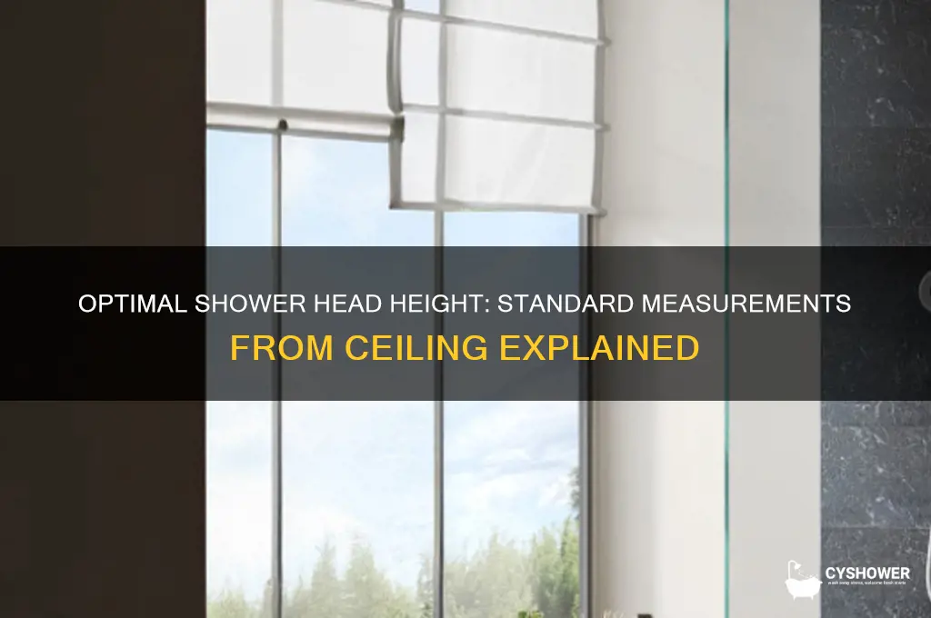 what is the average shower head height from the ceiling