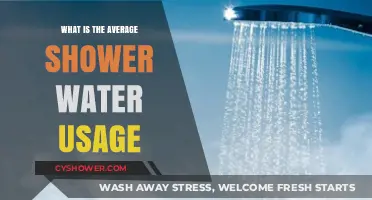 Average Shower Water Usage: How Much Do You Really Use?