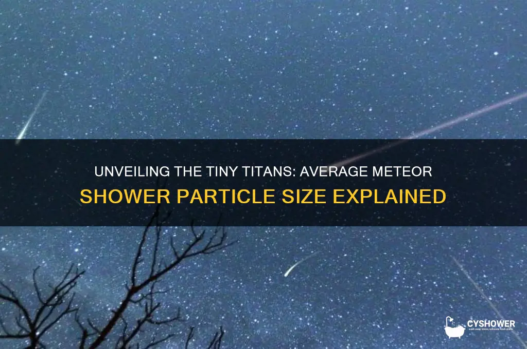 what is the average size of a meteor shower particle