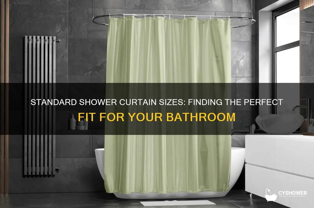 what is the average size of a shower curtain