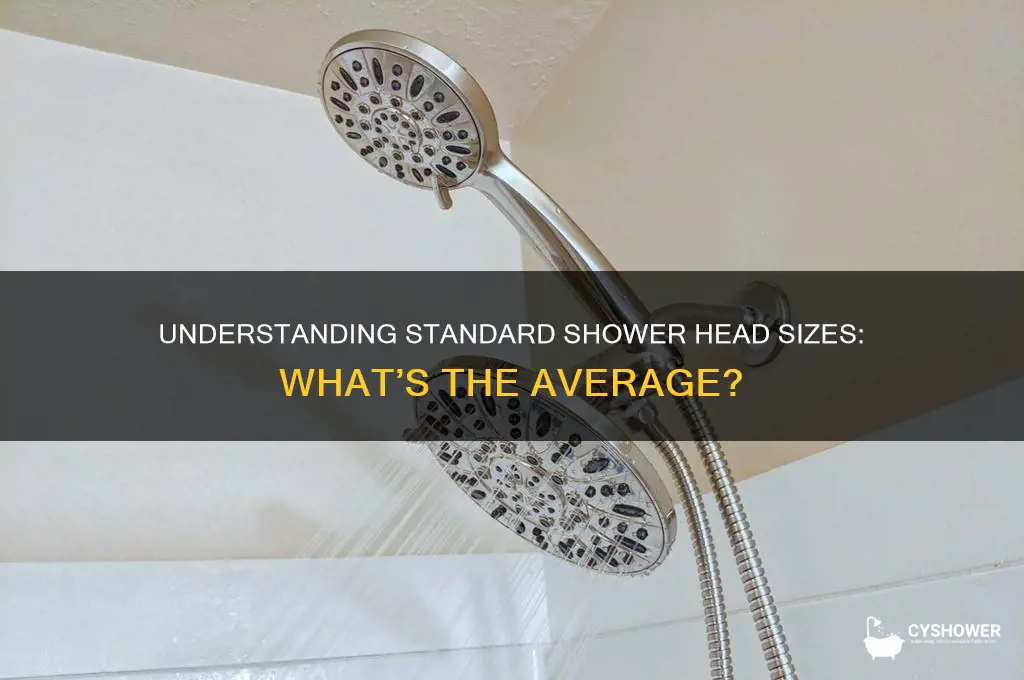 what is the average size of a shower head