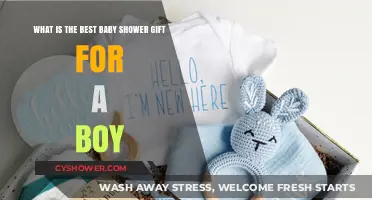 Top Baby Shower Gifts for Boys: A Comprehensive Guide