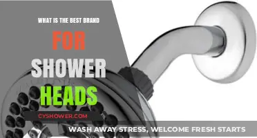 Top Shower Head Brands: Which One Reigns Supreme in 2023?