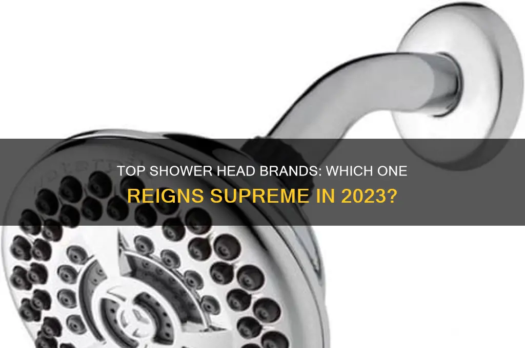 what is the best brand for shower heads