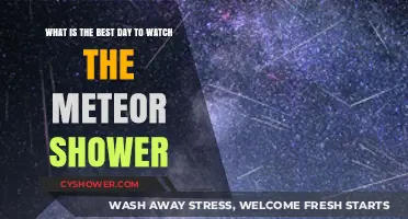 Best Day to Watch Meteor Shower: A Stargazer's Guide