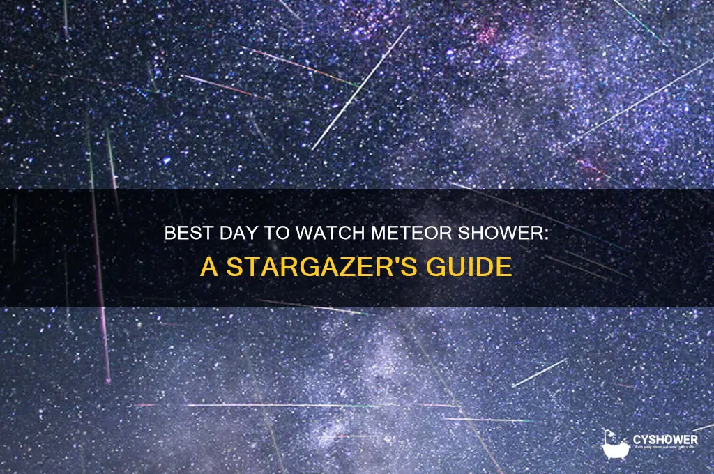 what is the best day to watch the meteor shower