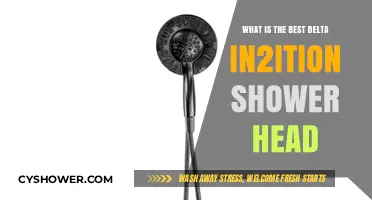 Top Delta In2ition Shower Head: Ultimate Guide to the Best Model