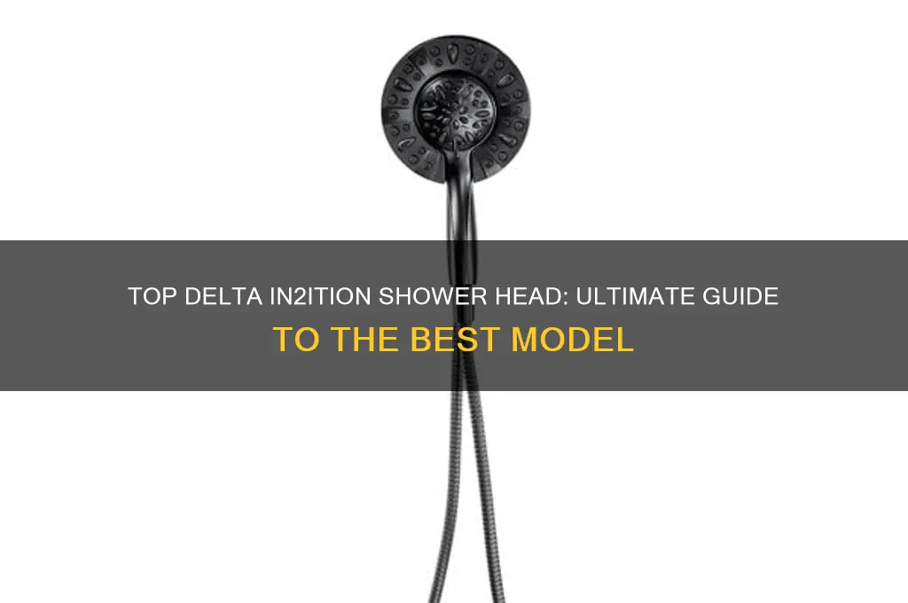 what is the best delta in2ition shower head