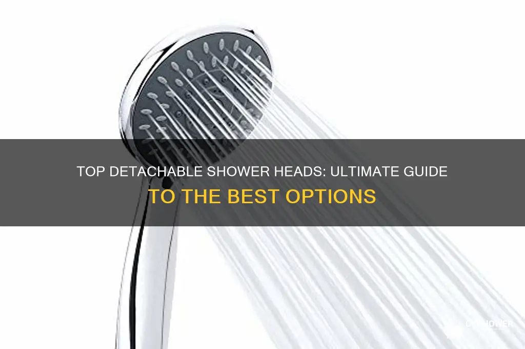 what is the best detachable shower head