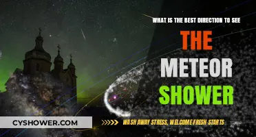 Optimal Viewing Direction for Meteor Showers: A Stargazer's Guide