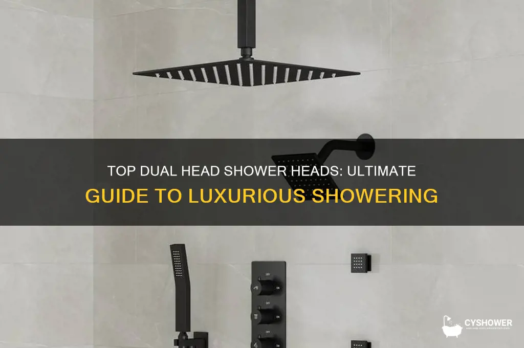 what is the best dual head shower head