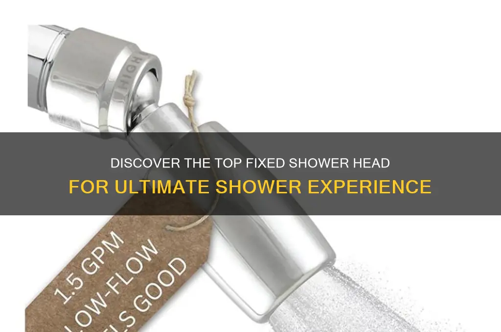 what is the best fixed shower head