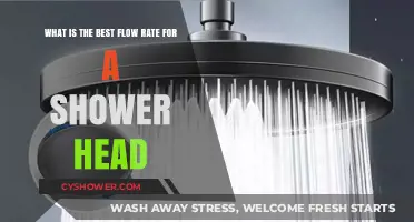 Optimal Shower Experience: Finding the Perfect Flow Rate for Your Shower Head