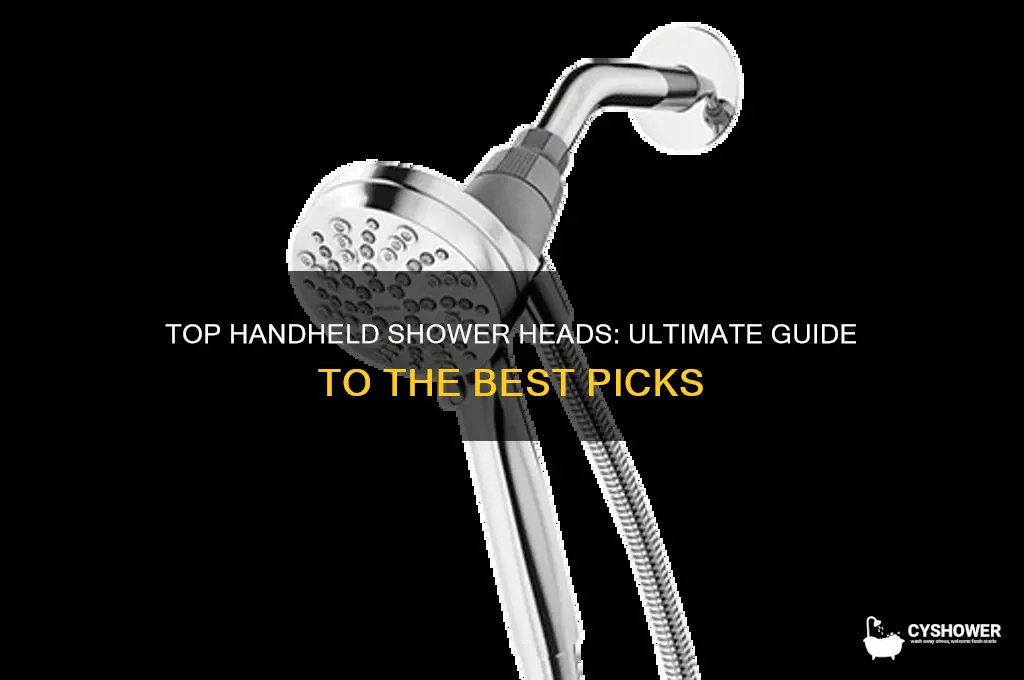 what is the best hand held shower head