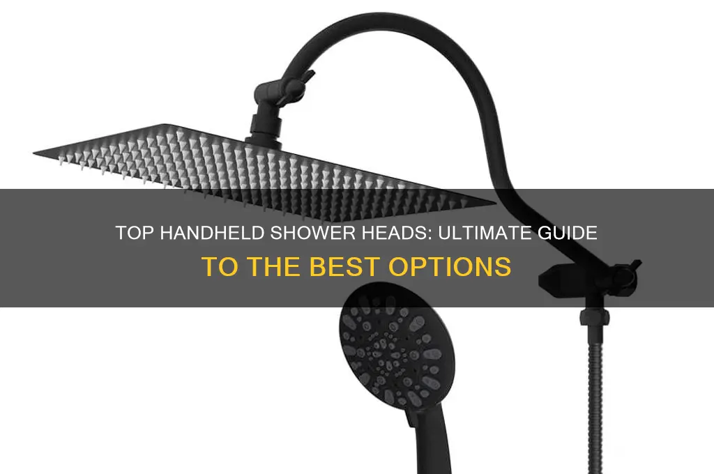 what is the best handheld shower head