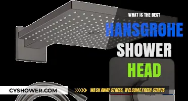Discover the Ultimate Hansgrohe Shower Head for Your Bathroom
