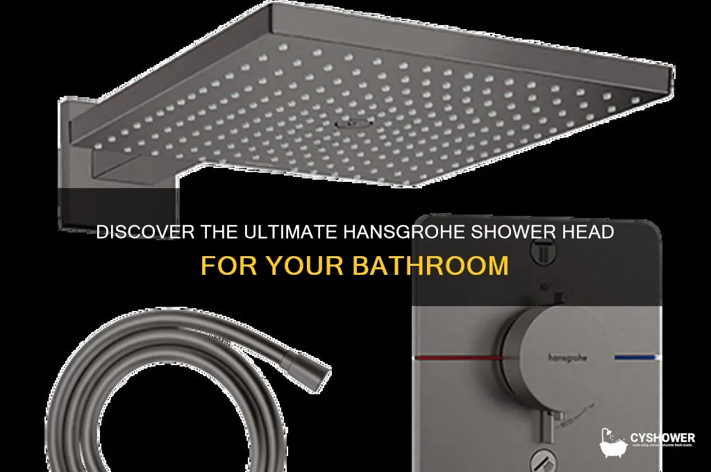 what is the best hansgrohe shower head
