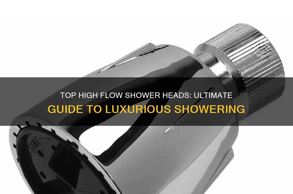 what is the best high flow shower head