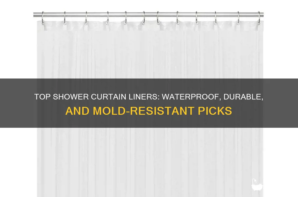 what is the best kind of shower curtain liner
