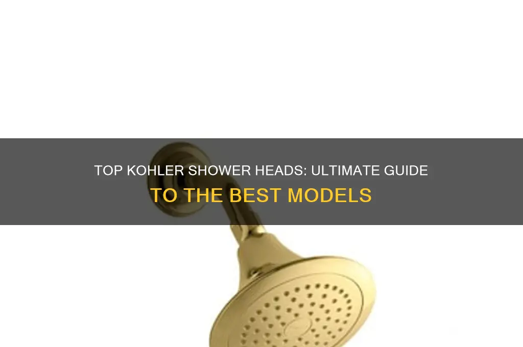 what is the best kohler shower head