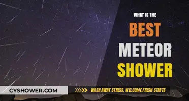 Discover the Most Spectacular Meteor Shower to Watch This Year