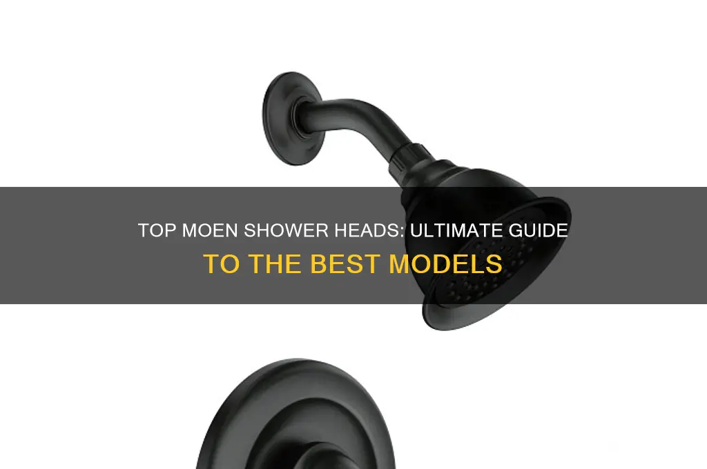 what is the best moen shower head