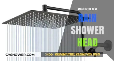Ultimate Guide to Choosing the Best Rain Shower Head for You
