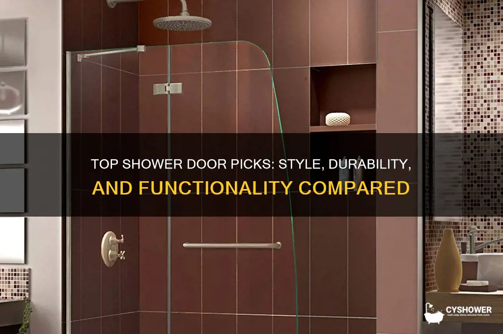 what is the best shower door to buy