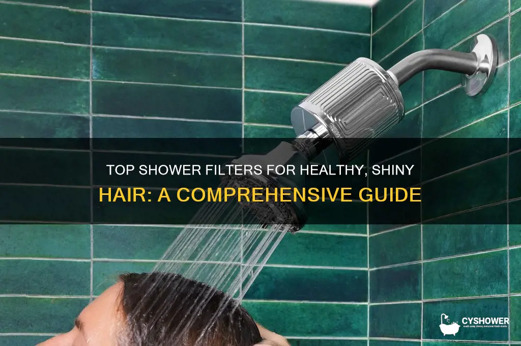 what is the best shower filter for hair