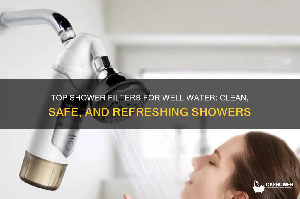 what is the best shower filter for well water