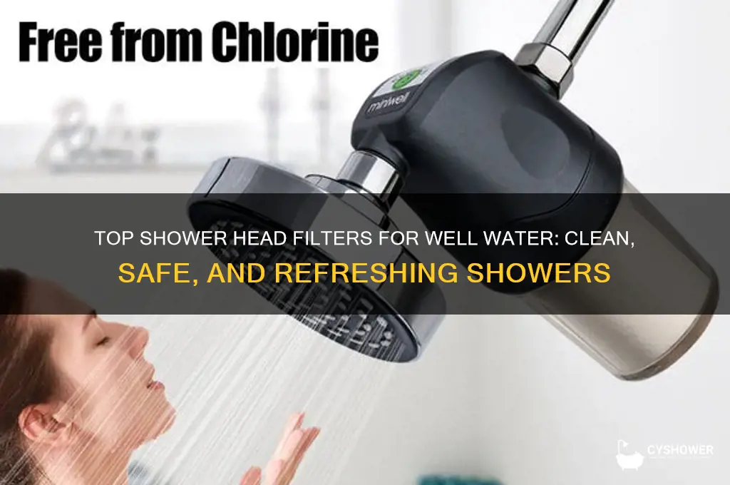 what is the best shower head filter for well water