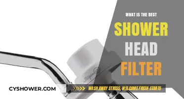 Top Shower Head Filters for Clean, Healthy, and Refreshing Showers
