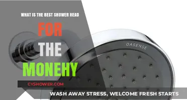 Top Shower Heads: Best Value for Your Money in 2023