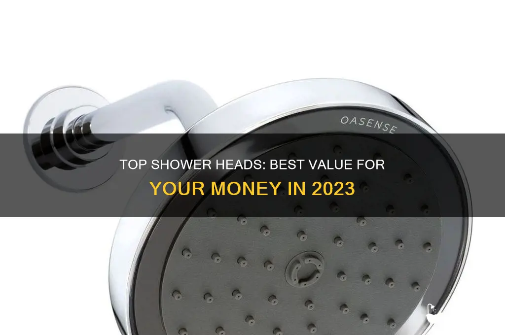 what is the best shower head for the monehy