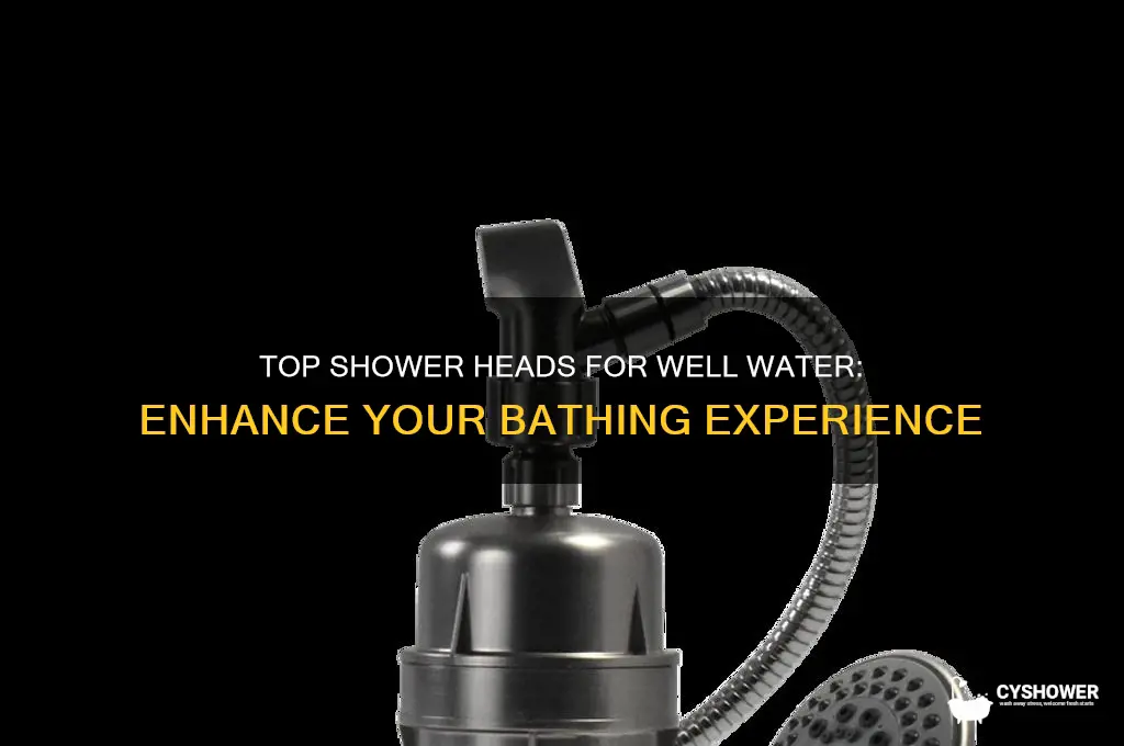 what is the best shower head for well water